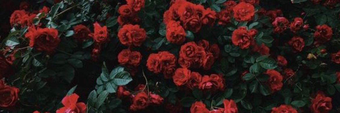 _isamiam_'s profile banner image
