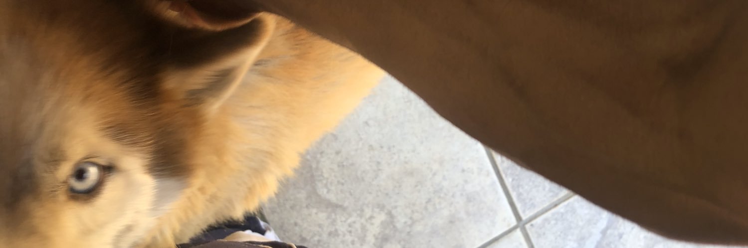 TomNaomi1's profile banner image