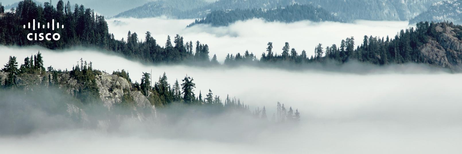tberghoff's profile banner image