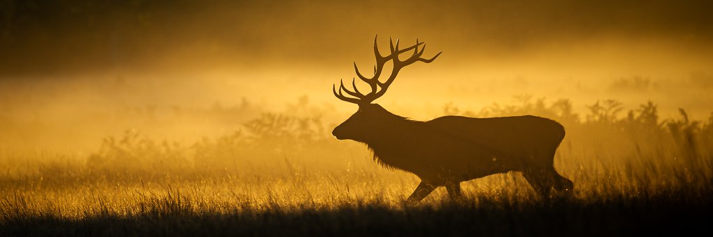 Steve Liptrot Photography banner