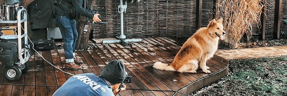 AnimalEvalution's profile banner image