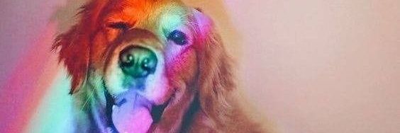 givenzac's profile banner image