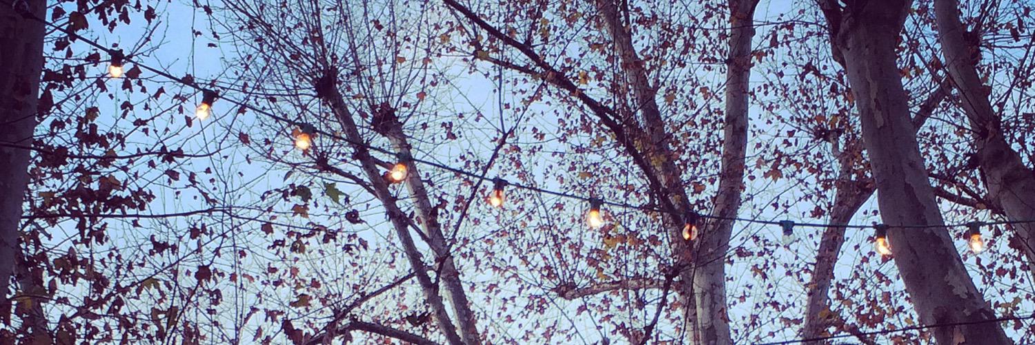 colashlne's profile banner image