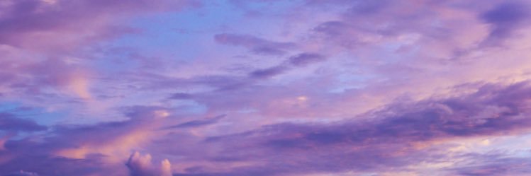 allie_3000's profile banner image