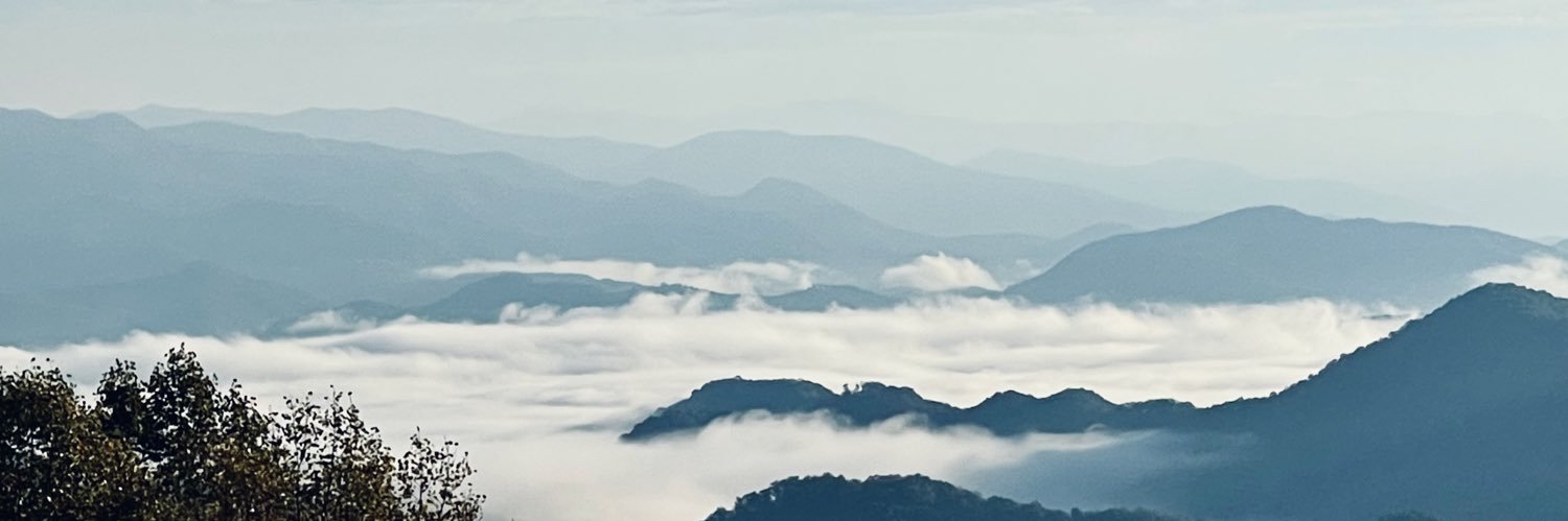 SnippySpree's profile banner image
