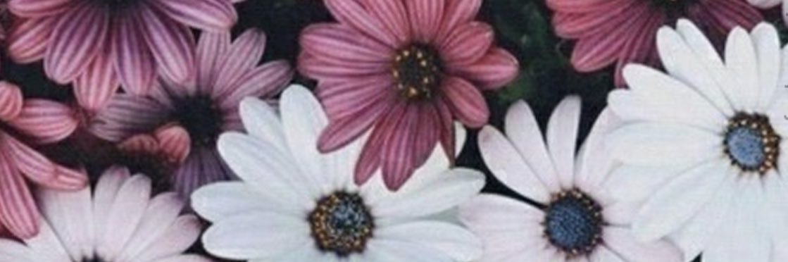 nerecortes's profile banner image