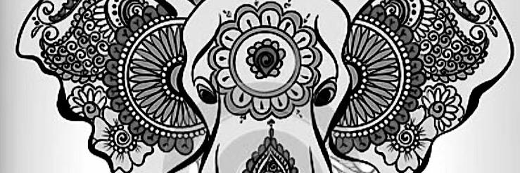 Maicapignerosa's profile banner image
