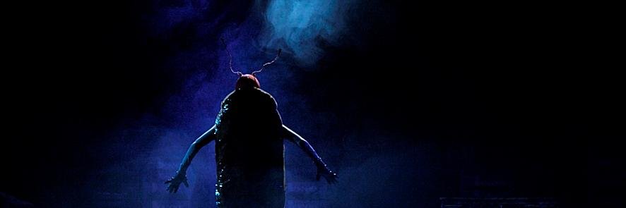Finestrabica's profile banner image