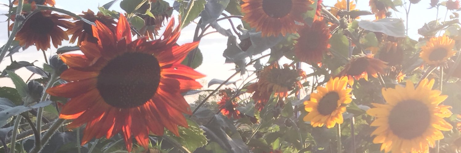 marthaglassVT's profile banner image