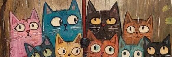 daksbo's profile banner image