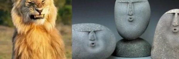 HAMPDEN_AFC Profile Banner