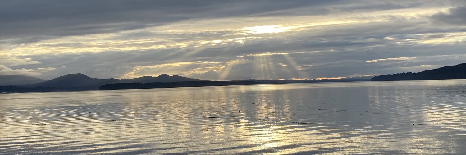 LauraH_G's profile banner image