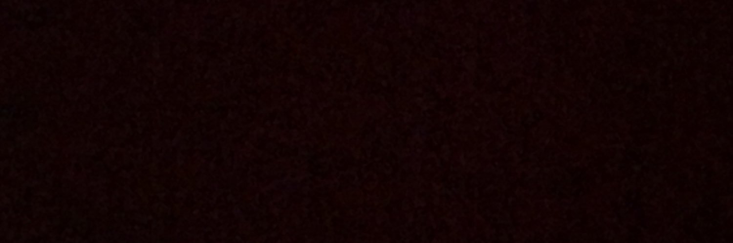 AUDIOSLUGS's profile banner image