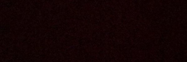 AUDIOSLUGS Profile Banner