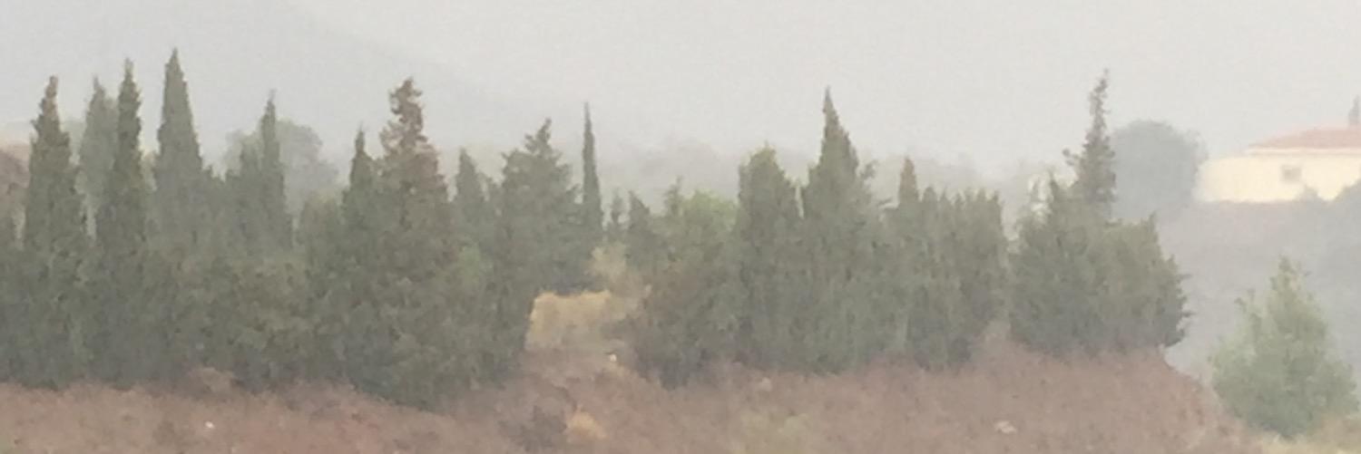 marcomartin78's profile banner image