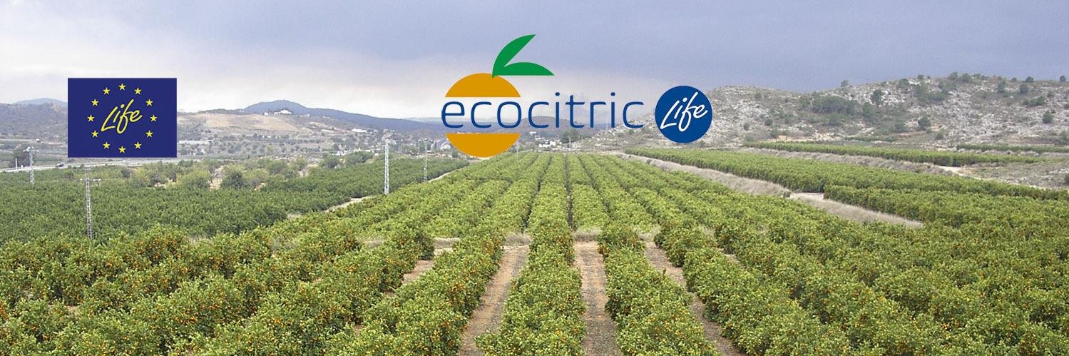 LifeEcocitric banner