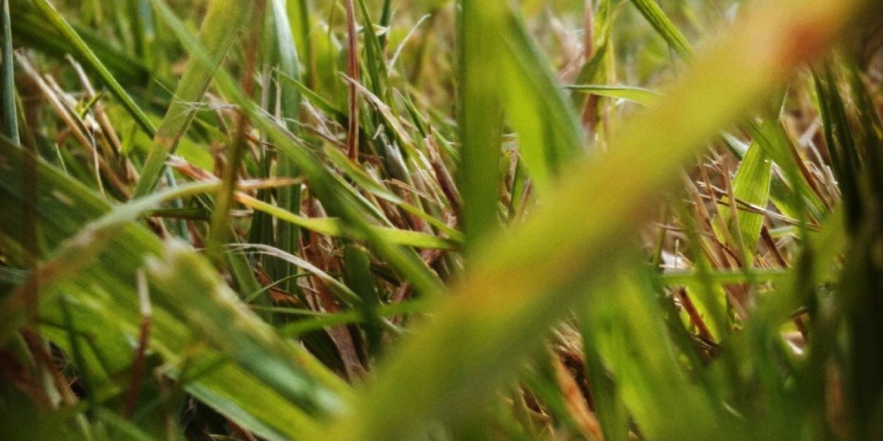 clgoodfellow's profile banner image