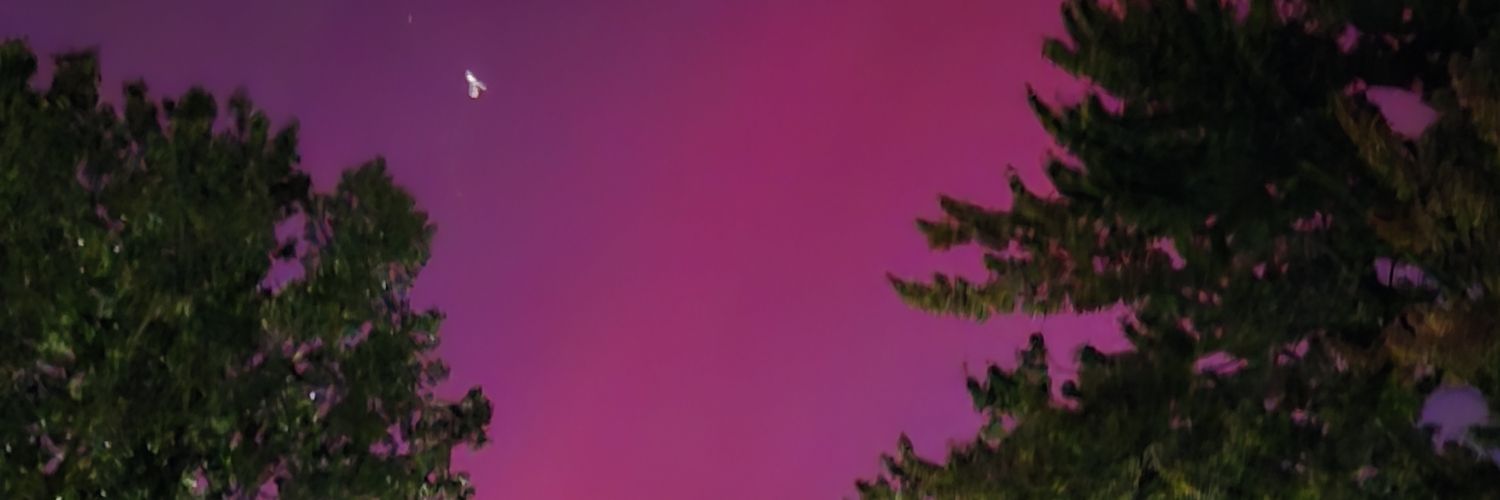 Cathy Warren banner