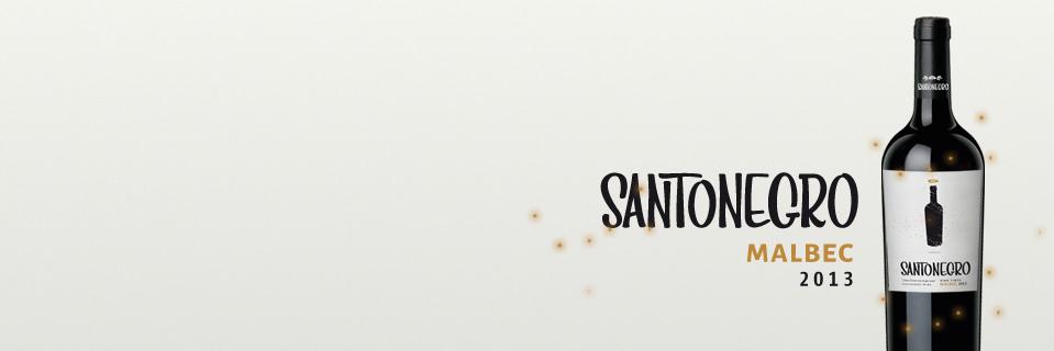 vinosantonegro's profile banner image