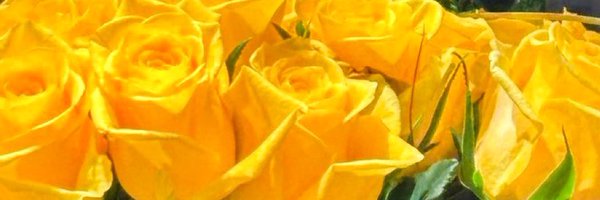 MARIALUISAMAR5 Profile Banner