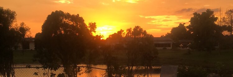 bhinds239's profile banner image