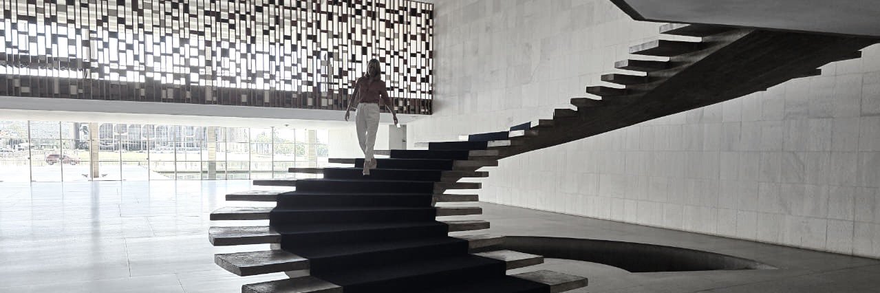 Janaína Figueiredo banner