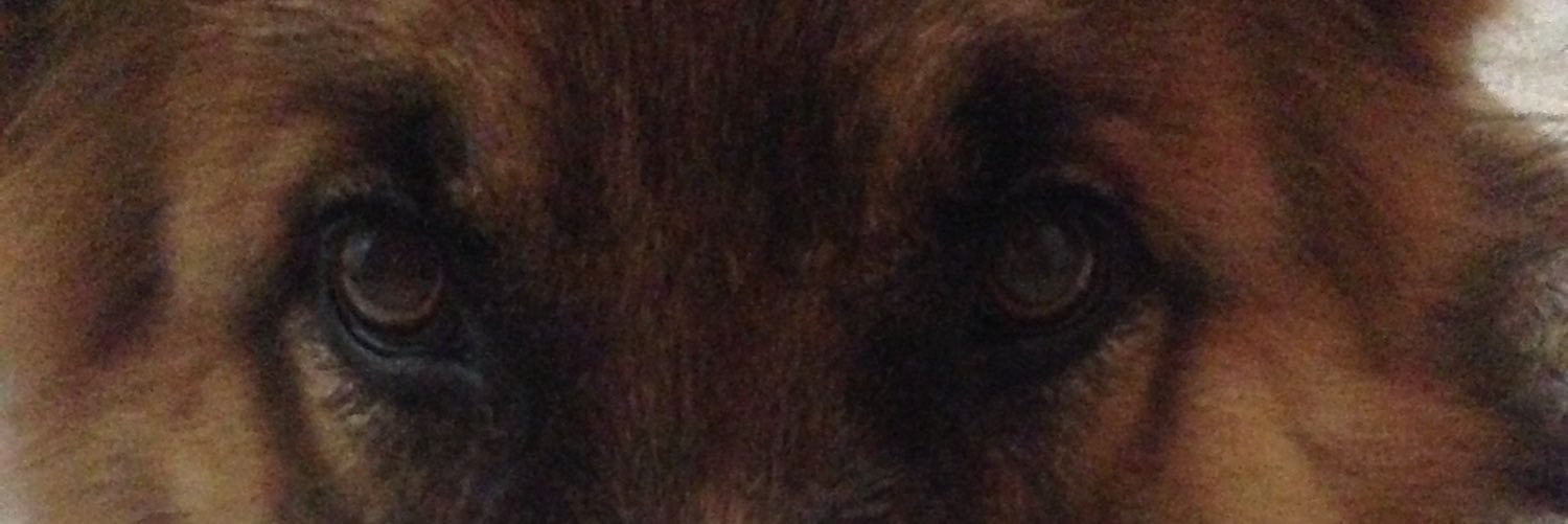 neselihaller's profile banner image