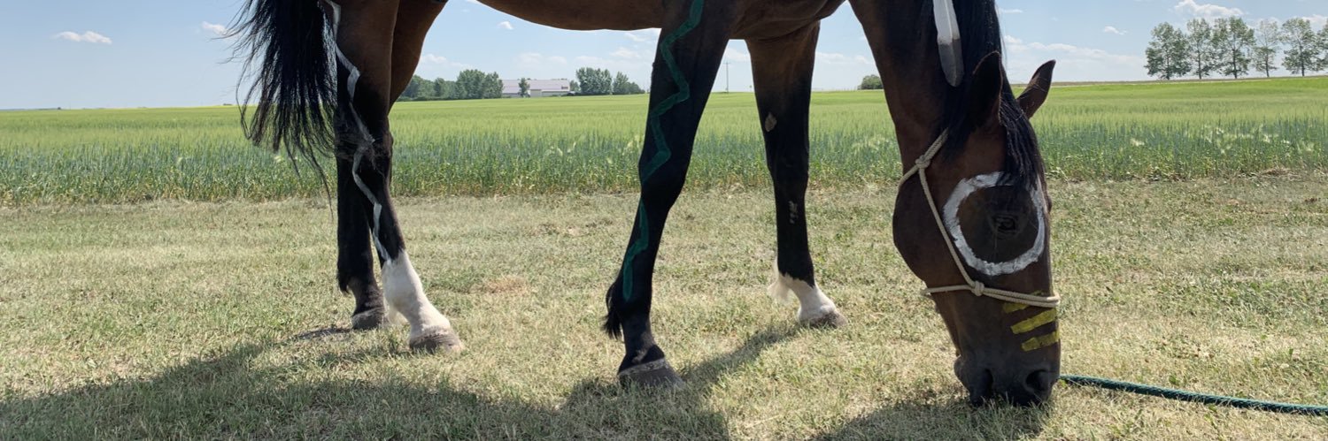 Faithequestrian's profile banner image