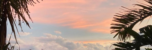 SoBusyDear Profile Banner