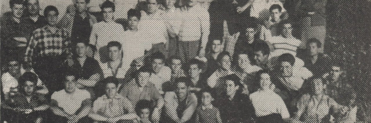 PatoLabarcaC banner