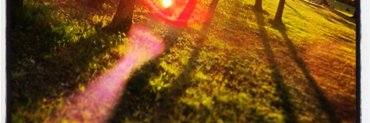 triragis's profile banner image