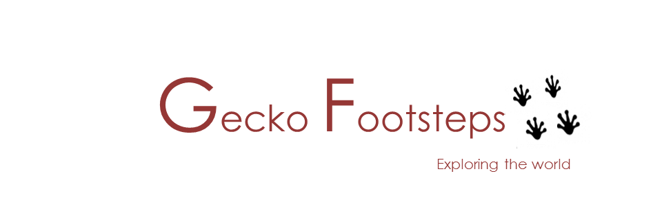 geckofootsteps's profile banner image