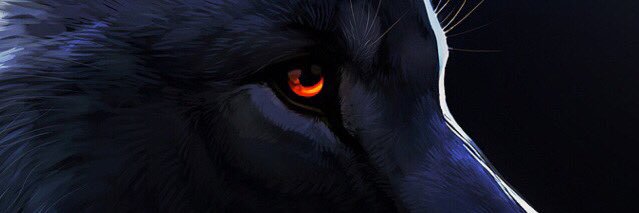 BatuOzen's profile banner image