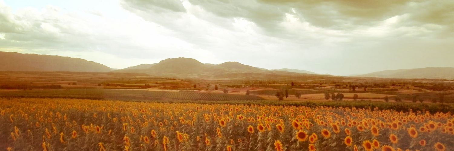maite1959's profile banner image