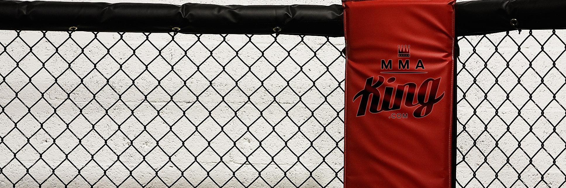 MMA King banner