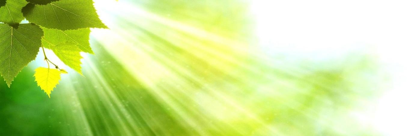 IITYouthCouncil's profile banner image
