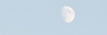 wonkittycarat's profile banner image