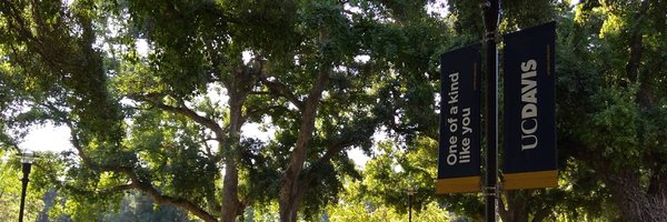 VikramKoundinya Profile Banner
