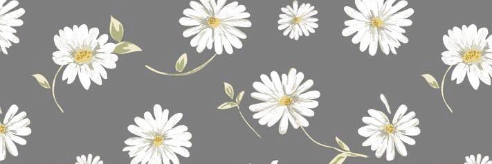 sandra_fdez4's profile banner image
