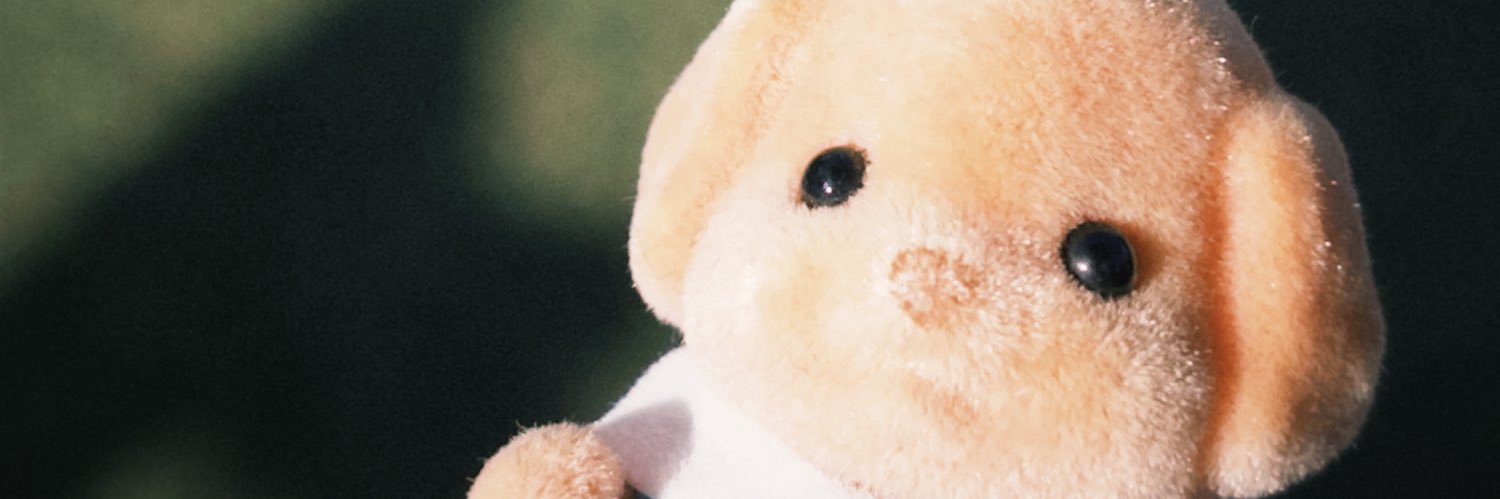 あんじゅ🤍🌻 banner