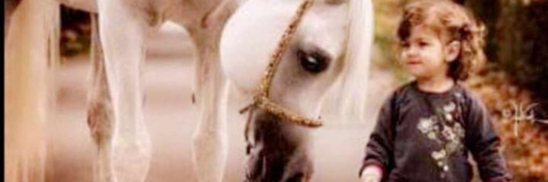 alkhaldi93's profile banner image