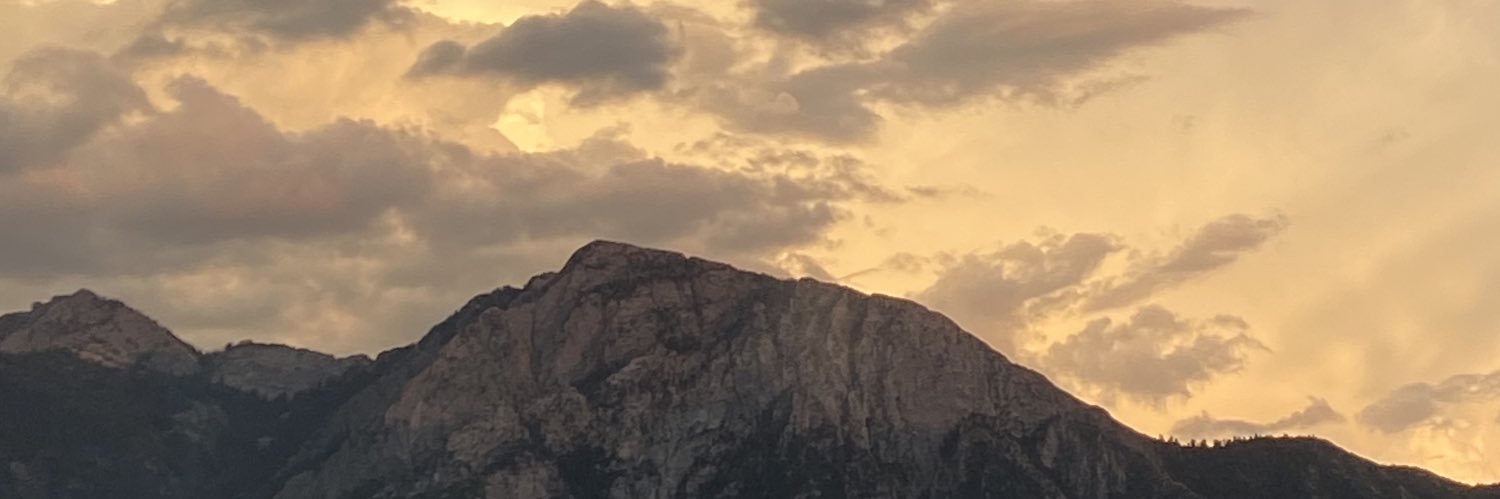 skyleechild's profile banner image