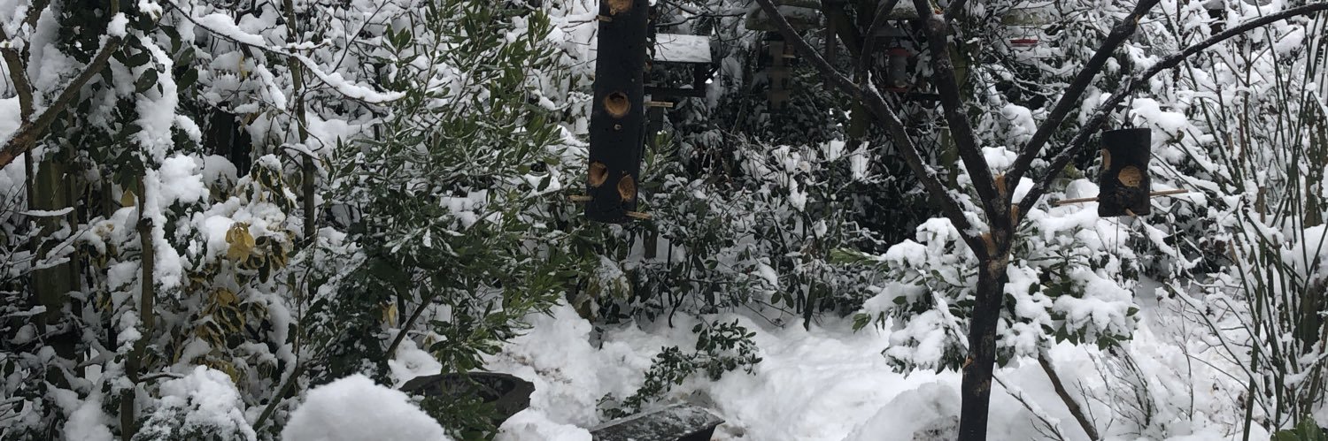 Martin 'Vrosty' Vanderspek banner