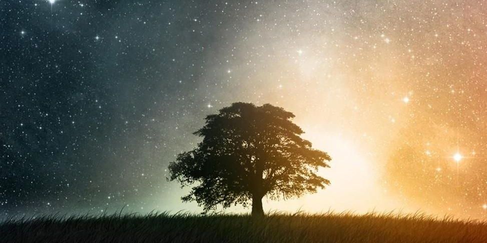 leo_estrellas's profile banner image
