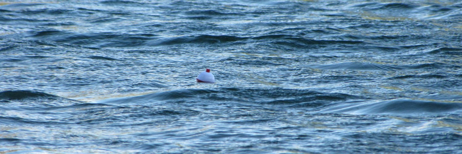 Dolphin Docks (@dolphin_docks) / Twitter