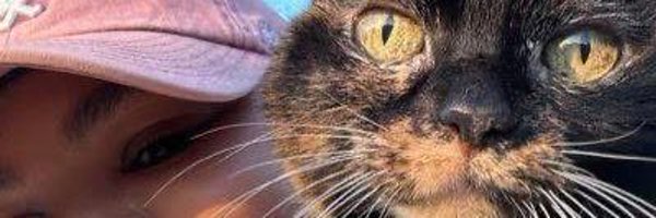 MelDubs Profile Banner