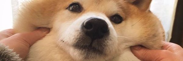 janimint Profile Banner