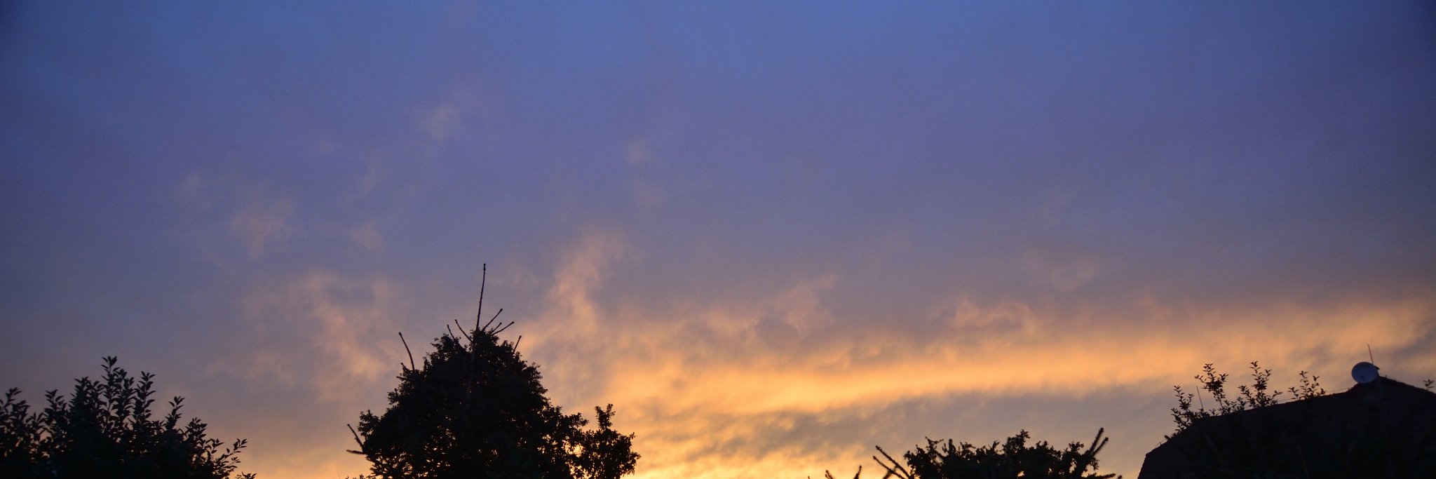 BataVitek's profile banner image