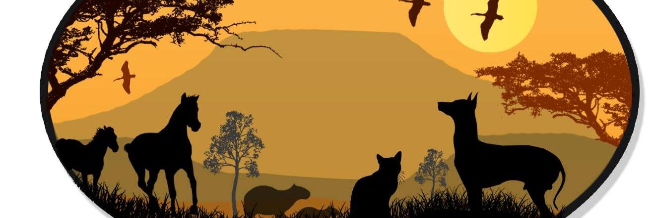 Fundación Santuario Animal banner