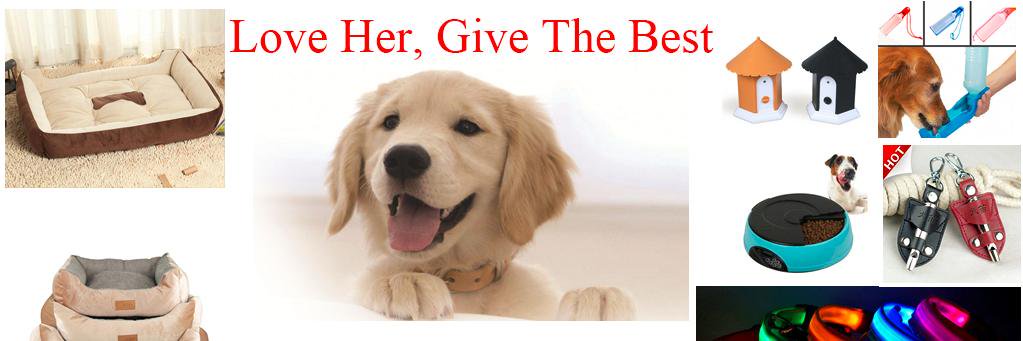petsloyal's profile banner image